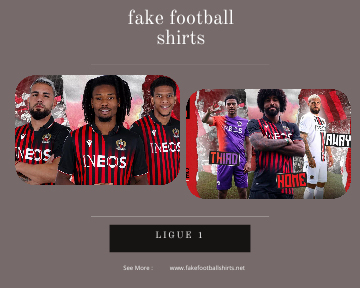 fake Nice football shirts 23-24